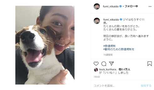 二階堂ふみ 地域猫 タヌキ 惨殺 犯人 三鷹