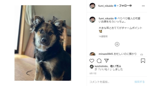 二階堂ふみ 地域猫 タヌキ 惨殺 犯人 三鷹