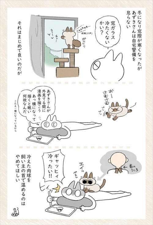 シャム猫あずきさん