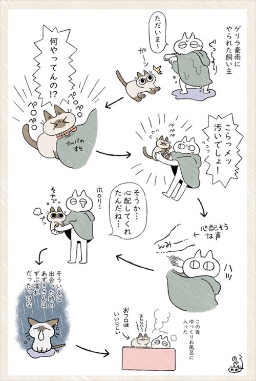 シャム猫あずきさん