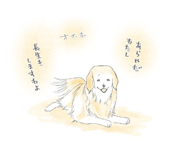 ぼくとしるう゛ぃあさん.3