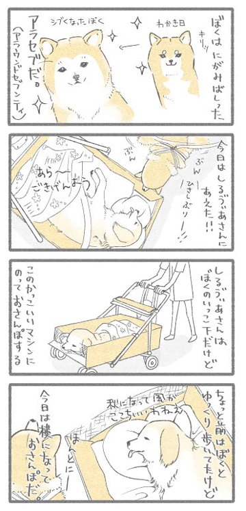 ぼくとしるう゛ぃあさん.1