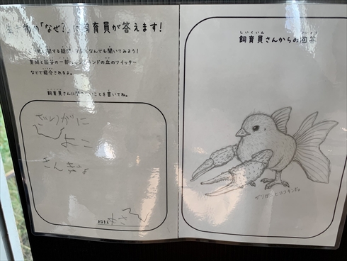 飼育員 質問 イングランドの丘