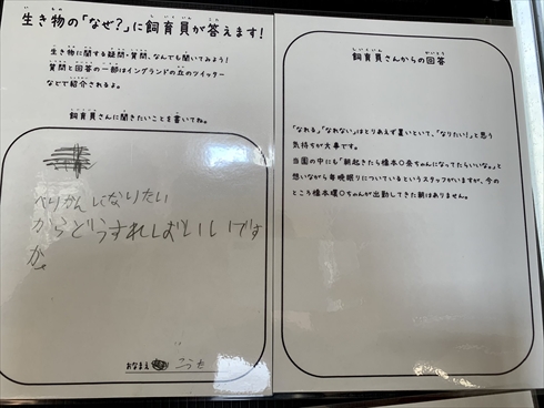 飼育員 質問 イングランドの丘