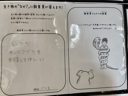 飼育員 質問 イングランドの丘