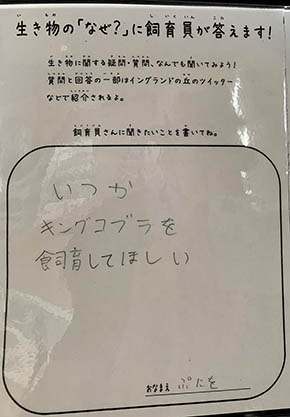 飼育員 質問 イングランドの丘