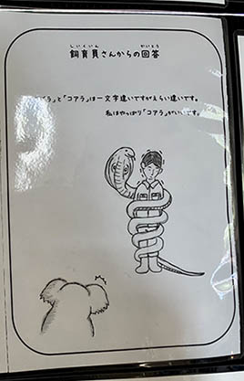 飼育員 質問 イングランドの丘