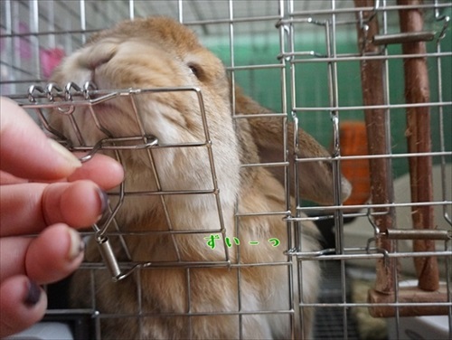 もんじももじじ