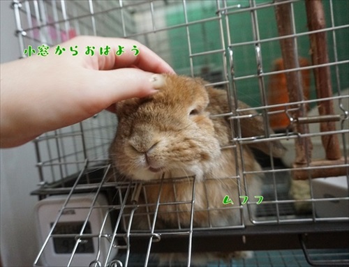 もんじももじじ