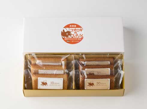 Pasco 昆虫食 食用コオロギパウダー コオロギ フィナンシェ バゲット