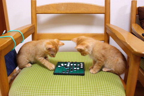 ゆずりくんとめぐりくん