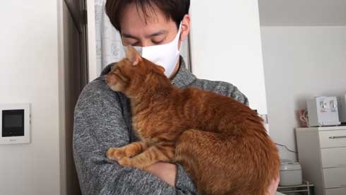 抱っこ 大好き 猫 表情 かわいい お出かけ 阻止 デレ