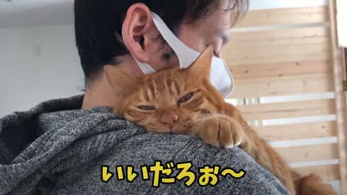抱っこ 大好き 猫 表情 かわいい お出かけ 阻止 デレ