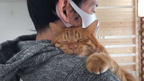 抱っこ 大好き 猫 表情 かわいい お出かけ 阻止 デレ