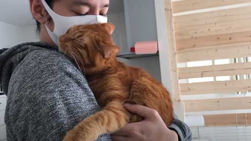 抱っこ 大好き 猫 表情 かわいい お出かけ 阻止 デレ
