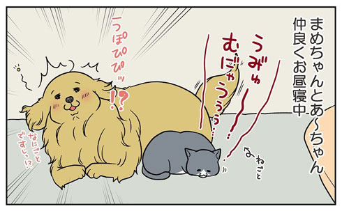 犬 猫 いびき 反応 違い 4コマ 漫画 餅付きなこ