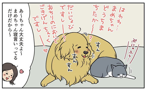 犬 猫 いびき 反応 違い 4コマ 漫画 餅付きなこ