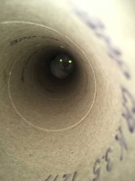 ラップの芯越し 猫 写真 弟子 亡き師匠を偲んで見上げた夜空 アイリスアウト 全日本失敗写真協会