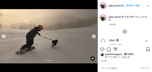 野村周平 犬ぞり スノボー 愛犬 広瀬すず スヌープ スノーボード 腕前 留学 ボーダーコリー インスタ Instagram