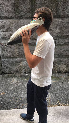 伝説のカツオ