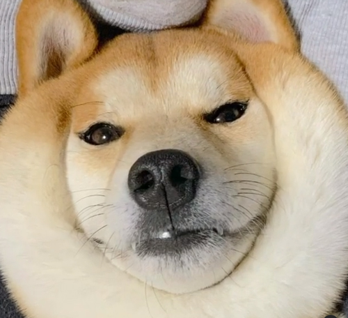 めんまくん完成