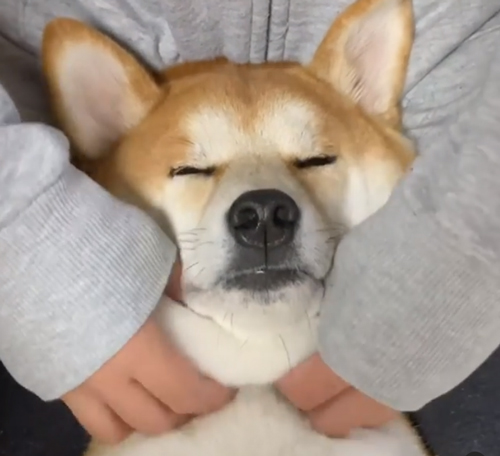 めんまくんあごもみ