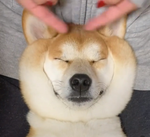 めんまくん頭に指をちょんちょん