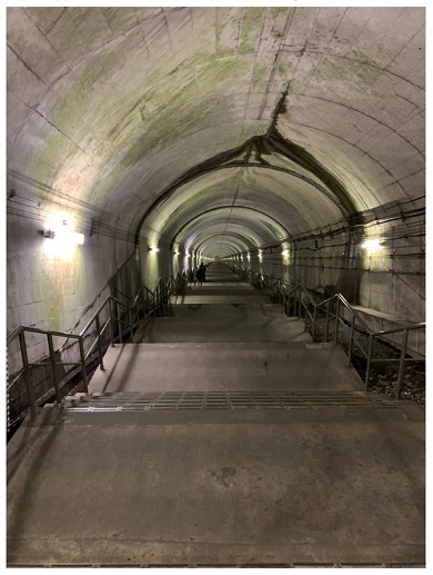 横山だいすけ うたのおにいさん きさらぎ駅 土合駅