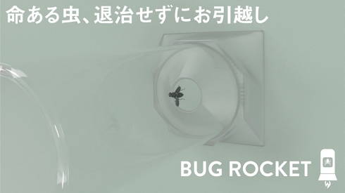 殺虫剤 ハエ クモ
