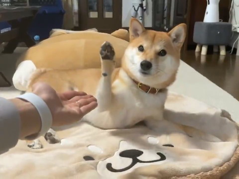 タッチがズレるりんご郎くん