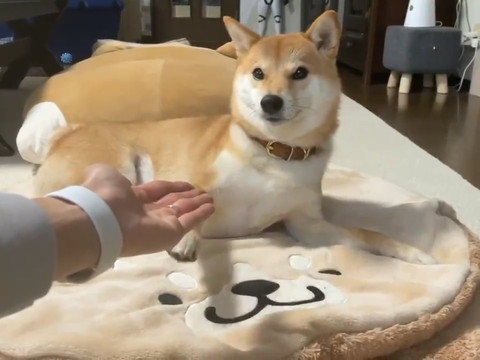 タッチがズレるりんご郎くん