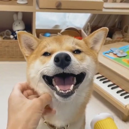 いろんなりんご郎くん