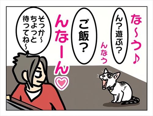 猫