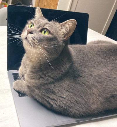 いろんなグリちゃん