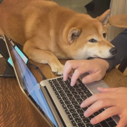 アゴ乗せちゃうエマちゃん