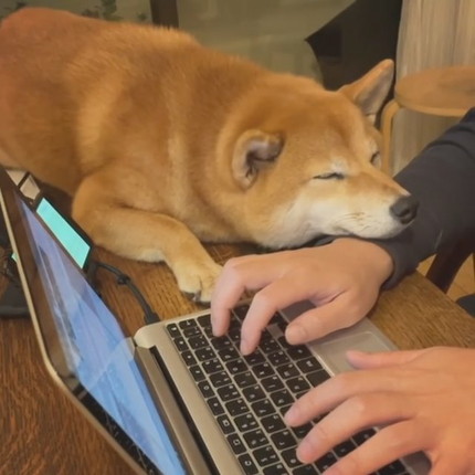 アゴ乗せちゃうエマちゃん