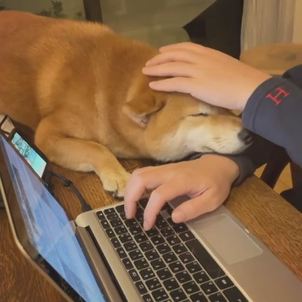 アゴ乗せちゃうエマちゃん