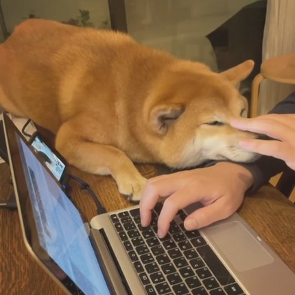 アゴ乗せちゃうエマちゃん