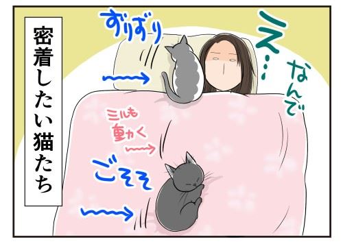 猫漫画