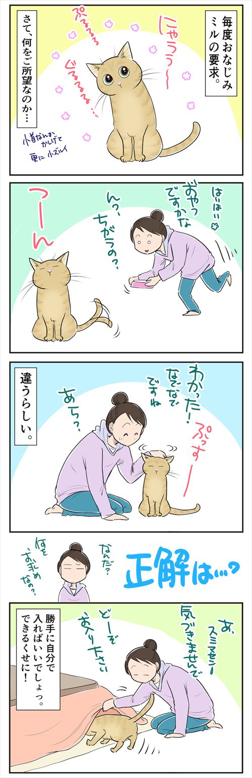 猫