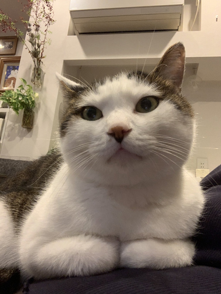 はるくん下から