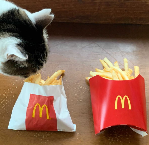 マックフライポテト M 臭い 味 変 インク 箱