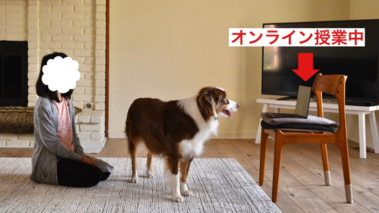 オンライン授業とプレッツェルくん