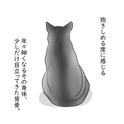 「せめて穏やかに」