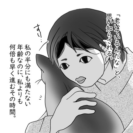 「せめて穏やかに」