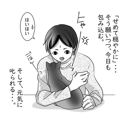 「せめて穏やかに」