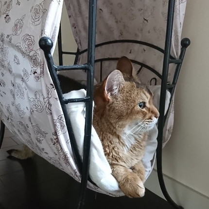 いろんな直さん