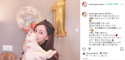 ダレノガレ明美 保護猫 片目 メイ インスタ