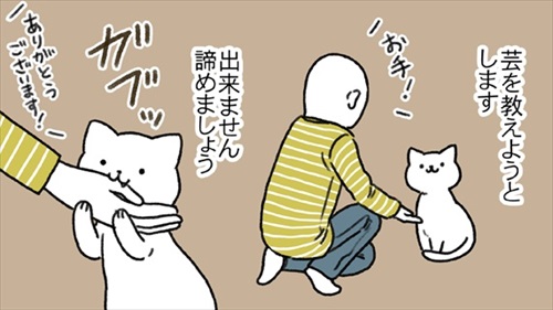 世界一役に立たない猫の飼い方テク