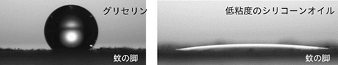 花王、肌表面を変えて蚊をよけられると発見　従来虫よけと違う方法で蚊に刺されることを防ぐ